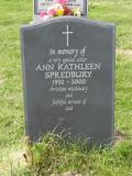 image of grave number 300372